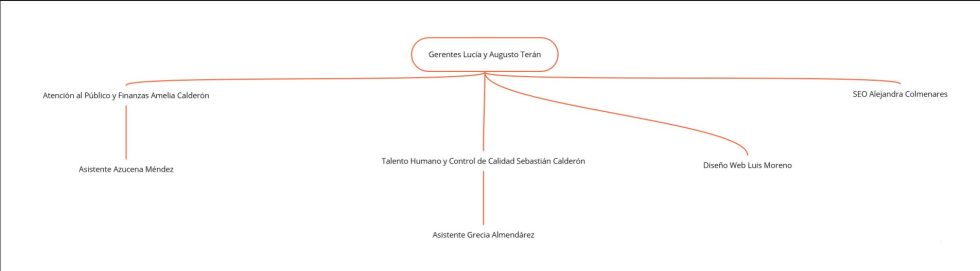 Organigrama de Online Tesis